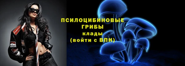 мдпв Семёнов