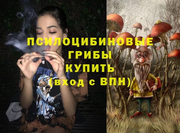 ГАЛЛЮЦИНОГЕННЫЕ ГРИБЫ Бугульма