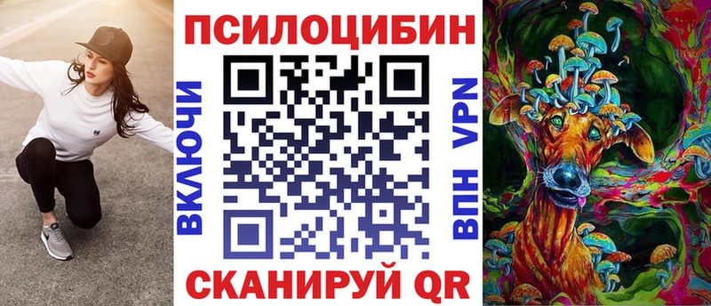 Галлюциногенные грибы Psilocybe  гидра онион  Набережные Челны 
